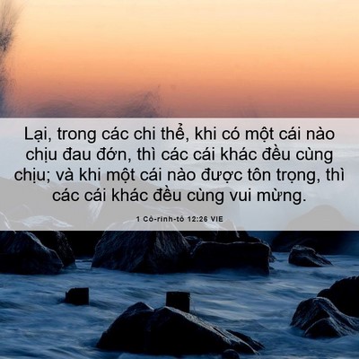 Picture 06 - 1 Cô-rinh-tô 12:26 VIE - Lại, trong các chi thể, khi có một cái - Bible Verse Picture
