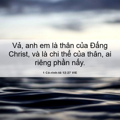 Picture 06 - 1 Cô-rinh-tô 12:27 VIE - Vả, anh em là thân của Đấng Christ, và - Bible Verse Picture