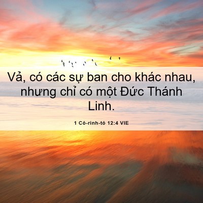 Picture 06 - 1 Cô-rinh-tô 12:4 VIE - Vả, có các sự ban cho khác nhau, nhưng - Bible Verse Picture