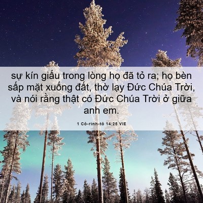 Picture 06 - 1 Cô-rinh-tô 14:25 VIE - sự kín giấu trong lòng họ đã tỏ ra; - Bible Verse Picture