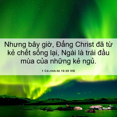 Picture 06 - 1 Cô-rinh-tô 15:20 VIE - Nhưng bây giờ, Đấng Christ đã từ kẻ - Bible Verse Picture