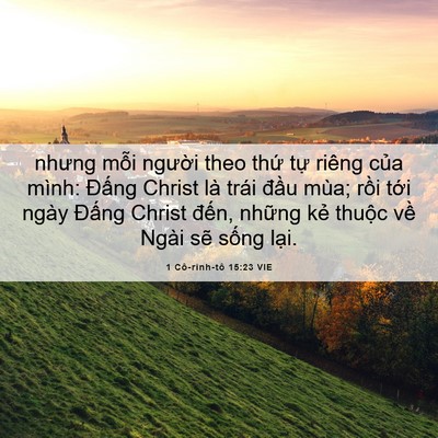 Picture 06 - 1 Cô-rinh-tô 15:23 VIE - nhưng mỗi người theo thứ tự riêng - Bible Verse Picture