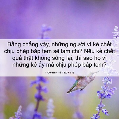 Picture 06 - 1 Cô-rinh-tô 15:29 VIE - Bằng chẳng vậy, những người vì kẻ - Bible Verse Picture