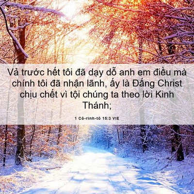 Picture 06 - 1 Cô-rinh-tô 15:3 VIE - Vả trước hết tôi đã dạy dỗ anh em - Bible Verse Picture