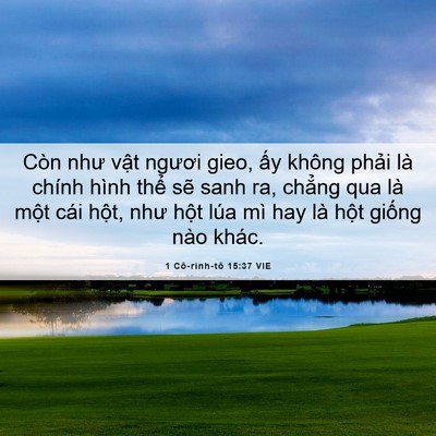 Picture 06 - 1 Cô-rinh-tô 15:37 VIE - Còn như vật ngươi gieo, ấy không phải - Bible Verse Picture