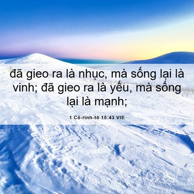 Picture 06 - 1 Cô-rinh-tô 15:43 VIE - đã gieo ra là nhục, mà sống lại là - Bible Verse Picture