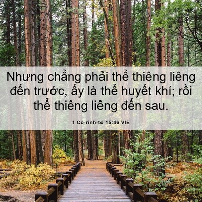Picture 06 - 1 Cô-rinh-tô 15:46 VIE - Nhưng chẳng phải thể thiêng liêng đến - Bible Verse Picture