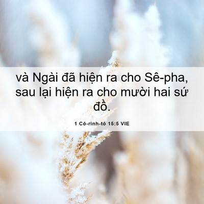 Picture 06 - 1 Cô-rinh-tô 15:5 VIE - và Ngài đã hiện ra cho Sê-pha, sau lại - Bible Verse Picture