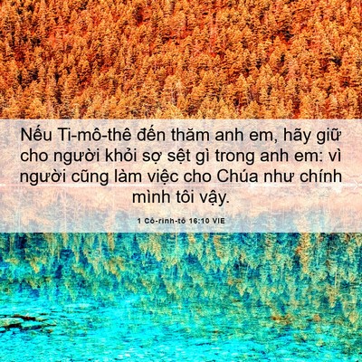 Picture 06 - 1 Cô-rinh-tô 16:10 VIE - Nếu Ti-mô-thê đến thăm anh em, hãy giữ - Bible Verse Picture