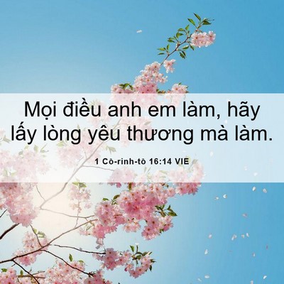 Picture 06 - 1 Cô-rinh-tô 16:14 VIE - Mọi điều anh em làm, hãy lấy lòng yêu - Bible Verse Picture