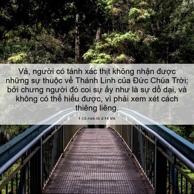 Picture 06 - 1 Cô-rinh-tô 2:14 VIE - Vả, người có tánh xác thịt không - Bible Verse Picture