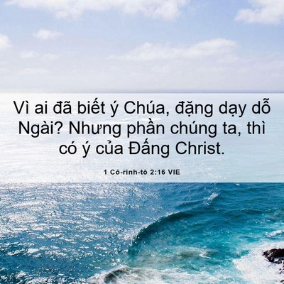 Picture 06 - 1 Cô-rinh-tô 2:16 VIE - Vì ai đã biết ý Chúa, đặng dạy dỗ - Bible Verse Picture