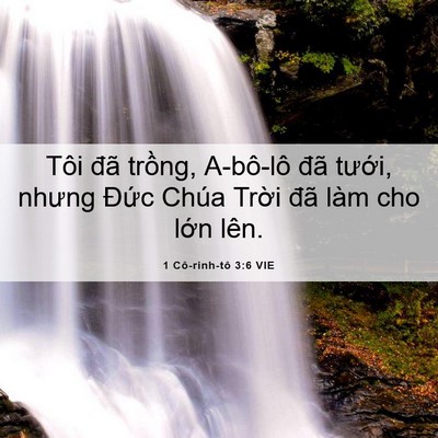 Picture 06 - 1 Cô-rinh-tô 3:6 VIE - Tôi đã trồng, A-bô-lô đã tưới, nhưng - Bible Verse Picture