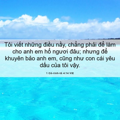 Picture 06 - 1 Cô-rinh-tô 4:14 VIE - Tôi viết những điều nầy, chẳng phải - Bible Verse Picture