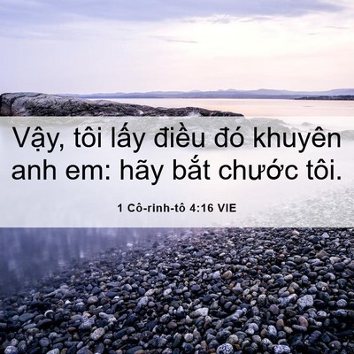 Picture 06 - 1 Cô-rinh-tô 4:16 VIE - Vậy, tôi lấy điều đó khuyên anh em: - Bible Verse Picture