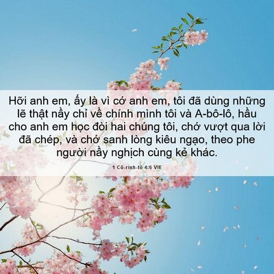 Picture 06 - 1 Cô-rinh-tô 4:6 VIE - Hỡi anh em, ấy là vì cớ anh em, tôi đã - Bible Verse Picture