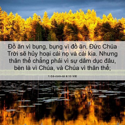 Picture 06 - 1 Cô-rinh-tô 6:13 VIE - Đồ ăn vì bụng, bụng vì đồ ăn, - Bible Verse Picture