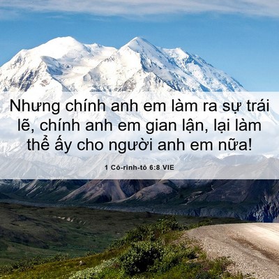 Picture 06 - 1 Cô-rinh-tô 6:8 VIE - Nhưng chính anh em làm ra sự trái lẽ, - Bible Verse Picture