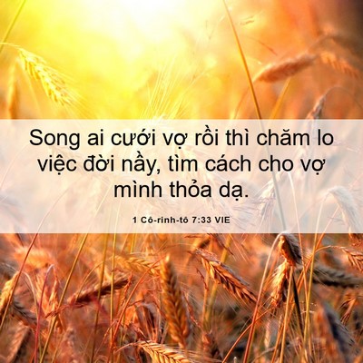 Picture 06 - 1 Cô-rinh-tô 7:33 VIE - Song ai cưới vợ rồi thì chăm lo việc - Bible Verse Picture