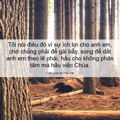Picture 06 - 1 Cô-rinh-tô 7:35 VIE - Tôi nói điều đó vì sự ích lợi cho - Bible Verse Picture