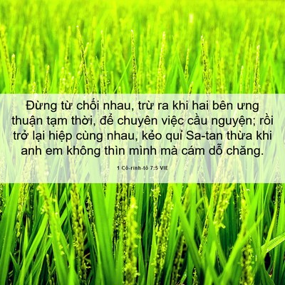 Picture 06 - 1 Cô-rinh-tô 7:5 VIE - Đừng từ chối nhau, trừ ra khi hai bên - Bible Verse Picture