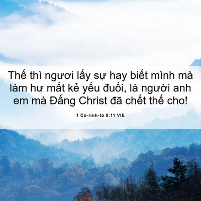 Picture 06 - 1 Cô-rinh-tô 8:11 VIE - Thế thì ngươi lấy sự hay biết mình - Bible Verse Picture