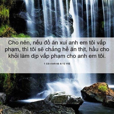 Picture 06 - 1 Cô-rinh-tô 8:13 VIE - Cho nên, nếu đồ ăn xui anh em tôi vấp - Bible Verse Picture