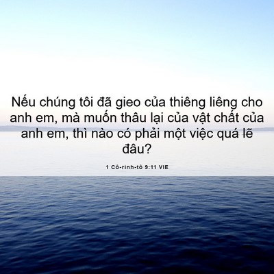 Picture 06 - 1 Cô-rinh-tô 9:11 VIE - Nếu chúng tôi đã gieo của thiêng liêng - Bible Verse Picture