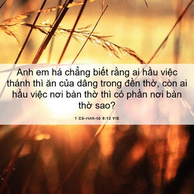 Picture 06 - 1 Cô-rinh-tô 9:13 VIE - Anh em há chẳng biết rằng ai hầu việc - Bible Verse Picture