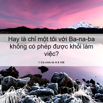 Picture 06 - 1 Cô-rinh-tô 9:6 VIE - Hay là chỉ một tôi với Ba-na-ba không - Bible Verse Picture