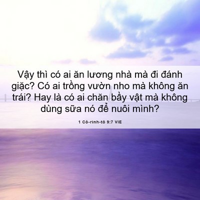 Picture 06 - 1 Cô-rinh-tô 9:7 VIE - Vậy thì có ai ăn lương nhà mà đi đánh - Bible Verse Picture