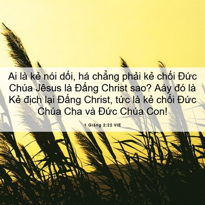 Picture 06 - 1 Giăng 2:22 VIE - Ai là kẻ nói dối, há chẳng phải kẻ - Bible Verse Picture