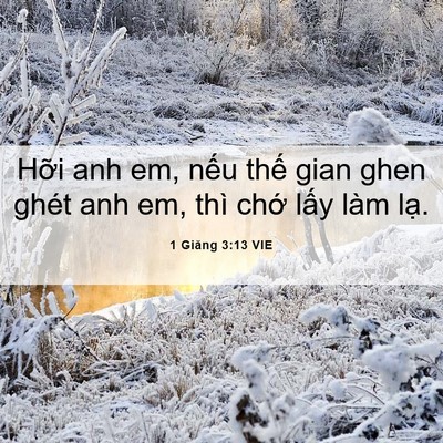 Picture 06 - 1 Giăng 3:13 VIE - Hỡi anh em, nếu thế gian ghen ghét anh em, - Bible Verse Picture
