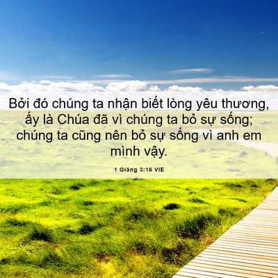 Picture 06 - 1 Giăng 3:16 VIE - Bởi đó chúng ta nhận biết lòng yêu - Bible Verse Picture