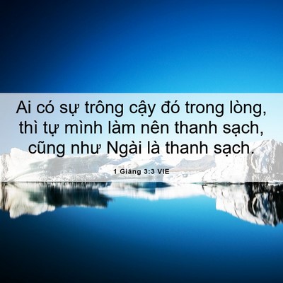 Picture 06 - 1 Giăng 3:3 VIE - Ai có sự trông cậy đó trong lòng, thì - Bible Verse Picture
