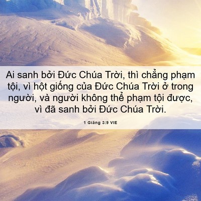Picture 06 - 1 Giăng 3:9 VIE - Ai sanh bởi Đức Chúa Trời, thì chẳng - Bible Verse Picture