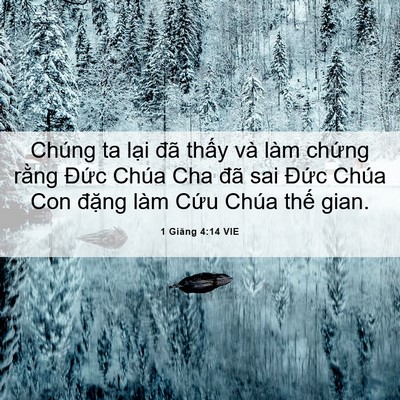 Picture 06 - 1 Giăng 4:14 VIE - Chúng ta lại đã thấy và làm chứng - Bible Verse Picture