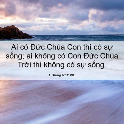 Picture 06 - 1 Giăng 5:12 VIE - Ai có Đức Chúa Con thì có sự sống; ai - Bible Verse Picture
