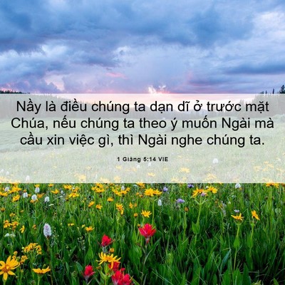 Picture 06 - 1 Giăng 5:14 VIE - Nầy là điều chúng ta dạn dĩ ở - Bible Verse Picture