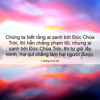 Picture 06 - 1 Giăng 5:18 VIE - Chúng ta biết rằng ai sanh bởi Đức - Bible Verse Picture