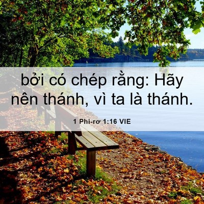 Picture 06 - 1 Phi-rơ 1:16 VIE - bởi có chép rằng: Hãy nên thánh, vì ta - Bible Verse Picture