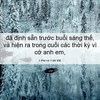 Picture 06 - 1 Phi-rơ 1:20 VIE - đã định sẵn trước buổi sáng thế, - Bible Verse Picture