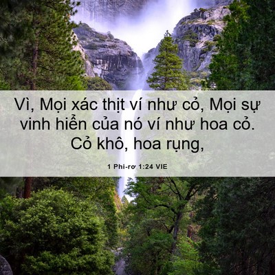 Picture 06 - 1 Phi-rơ 1:24 VIE - Vì, Mọi xác thịt ví như cỏ, Mọi sự - Bible Verse Picture