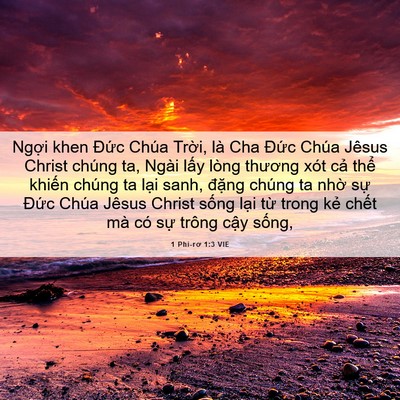 Picture 06 - 1 Phi-rơ 1:3 VIE - Ngợi khen Đức Chúa Trời, là Cha Đức - Bible Verse Picture