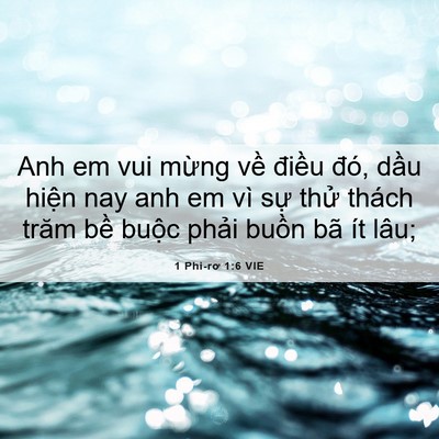 Picture 06 - 1 Phi-rơ 1:6 VIE - Anh em vui mừng về điều đó, dầu hiện - Bible Verse Picture