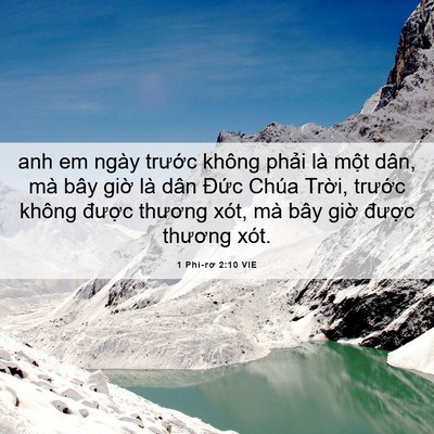 Picture 06 - 1 Phi-rơ 2:10 VIE - anh em ngày trước không phải là một - Bible Verse Picture