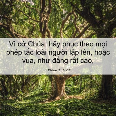 Picture 06 - 1 Phi-rơ 2:13 VIE - Vì cớ Chúa, hãy phục theo mọi phép - Bible Verse Picture