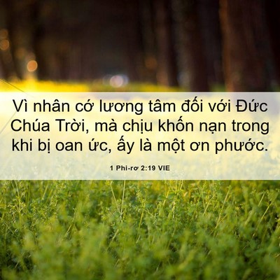 Picture 06 - 1 Phi-rơ 2:19 VIE - Vì nhân cớ lương tâm đối với Đức - Bible Verse Picture