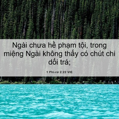Picture 06 - 1 Phi-rơ 2:22 VIE - Ngài chưa hề phạm tội, trong miệng - Bible Verse Picture