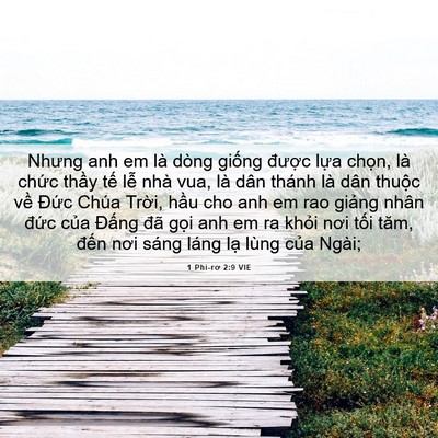 Picture 06 - 1 Phi-rơ 2:9 VIE - Nhưng anh em là dòng giống được lựa - Bible Verse Picture